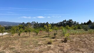 Land for sale in Mealhada, Portugal — €1,248,950