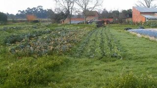 Land for sale in Ílhavo, Portugal — €130,000