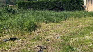 Terreno para venda em Ovar, Portugal — 87 000 €