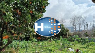 Land for sale in Aveiro, Portugal — €38,000