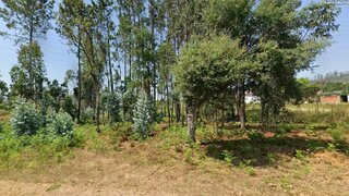 Land for sale in Albergaria-a-Velha, Portugal — €95,000