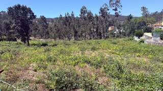 Terreno para venda em Oliveira de Azeméis, Portugal — 120 000 €