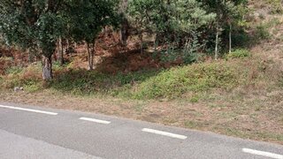 Land for sale in Sever do Vouga, Portugal — €51,000