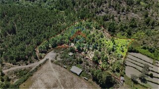 Terreno em Vila Real · 10 000 €