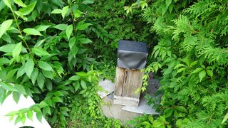 casafari-bild