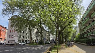 casafari-bild