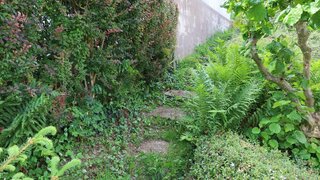 casafari-bild