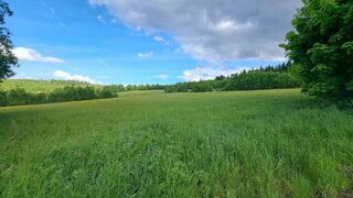 Alttag