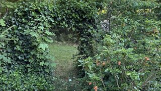casafari-bild