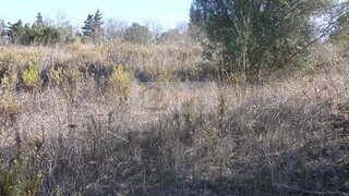 Land for sale in Tavira, Portugal — €490,000