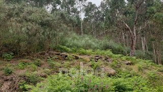Land for sale in Marco de Canaveses, Portugal — €100,000