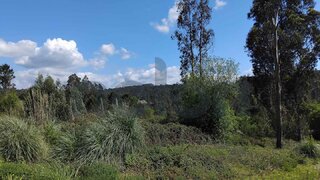 Land for sale in Vila Nova de Gaia, Portugal — €41,000