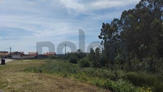 Land for sale in Albergaria-a-Velha, Portugal — €230,000