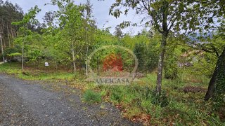 Land for sale in Sever do Vouga, Portugal — €20,000