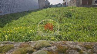 Terreno de 1175 m² em Aveiro