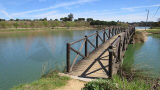 Land for sale in Alpiarça, Portugal — €40,000