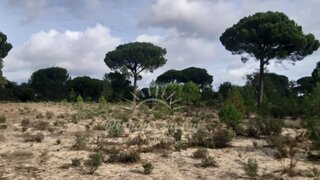 Land for sale in Grândola, Portugal — €550,000