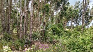 Land for sale in Santiago do Cacém, Portugal — €370,000