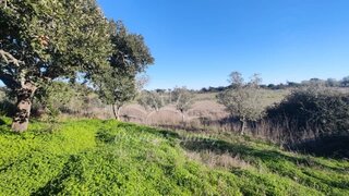 Land for sale in Grândola, Portugal — €86,150