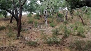 Land for sale in Grândola, Portugal — €495,000