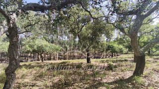 Land for sale in Santiago do Cacém, Portugal — €2,350,000