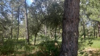Land for sale in Grândola, Portugal — €720,000