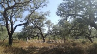 Land for sale in Grândola, Portugal — €600,000