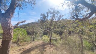 Land for sale in Grândola, Portugal — €350,000