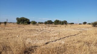 Terreno · 2323 m² · 99 900 €