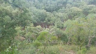 Land for sale in Santiago do Cacém, Portugal — €80,000