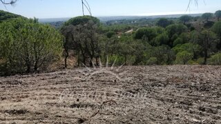 Land for sale in Grândola, Portugal — €5,500,000