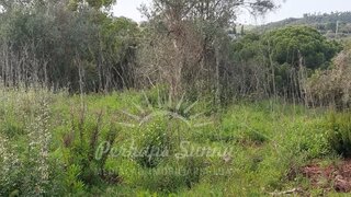 Land for sale in Santiago do Cacém, Portugal — €78,800