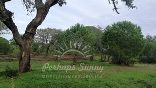 Land for sale in Grândola, Portugal — €298,000