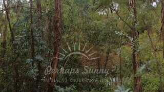 Land for sale in Grândola, Portugal — €300,000