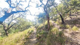 Land for sale in Santiago do Cacém, Portugal — €427,000