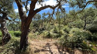 Land for sale in Odemira, Portugal — €700,000