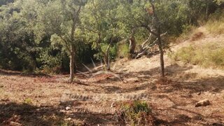 Land for sale in Santiago do Cacém, Portugal — €290,000