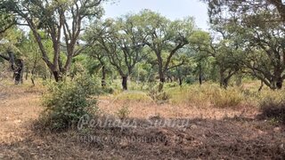 Land for sale in Santiago do Cacém, Portugal — €2,331,000