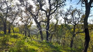 Land for sale in Grândola, Portugal — €190,000