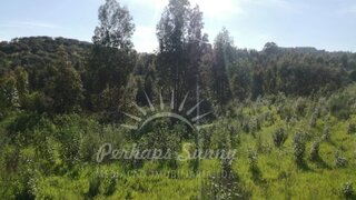 Land for sale in Grândola, Portugal — €715,000