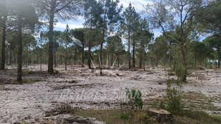 Land for sale in Grândola, Portugal — €2,800,000