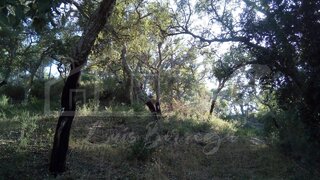 Land for sale in Grândola, Portugal — €250,000