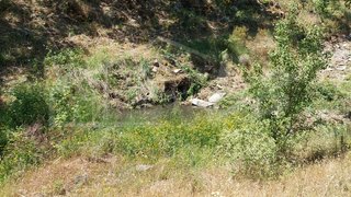 Land for sale in Grândola, Portugal — €1,700,000