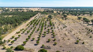 Land for sale in Grândola, Portugal — €500,000