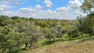 Land for sale in Grândola, Portugal — €670,000
