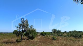 Land for sale in Santiago do Cacém, Portugal — €290,000