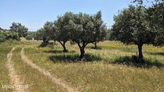 Land for sale in Santarém, Portugal — €30,000