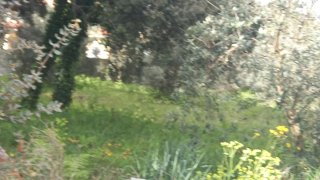 Terreno de 550 m² em Ourém