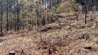Land for sale in Castro Daire, Portugal — €23,000