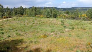 Land for sale in Fundão, Portugal — €9,999